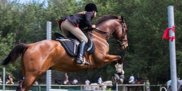 idées cadeau équitation