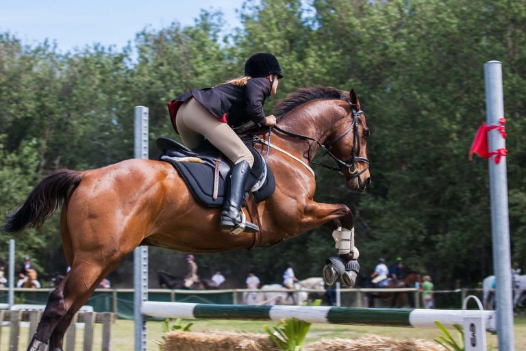 idées cadeau équitation