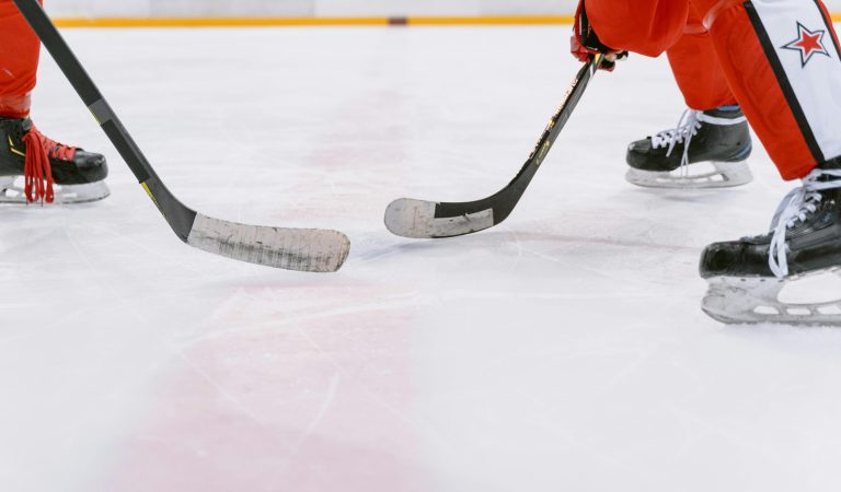Match lunaire en hockey sur glace : les arbitres ne connaissaient pas le règlement