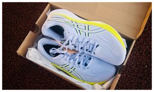 avis ASICS GT-2000 14