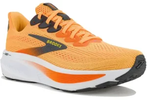 Brooks Ghost 17
