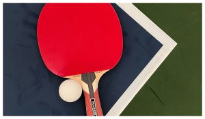 quelle raquette de ping pong choisir