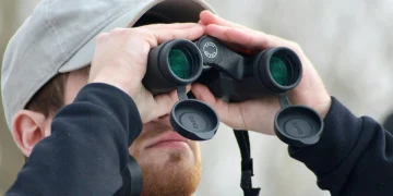 Un espion de Southampton aurait été repéré dans les arbres