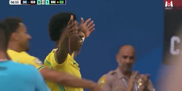 Vinicius - Brésil
