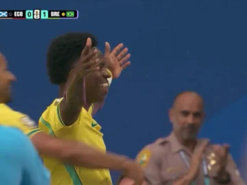 Vinicius - Brésil