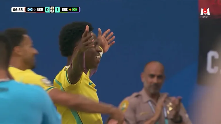 Vinicius - Brésil