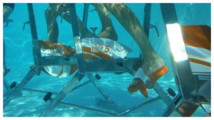 meilleur aquabike
