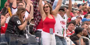 Ola à la Coupe du monde