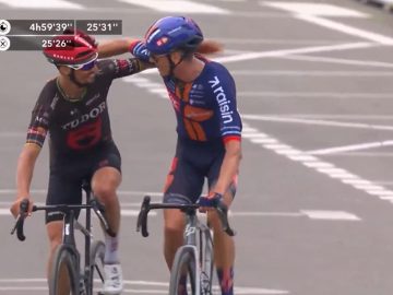Julian Alaphilippe - Tour de France