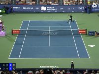 Gael Monfils