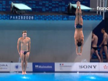 Plongeon