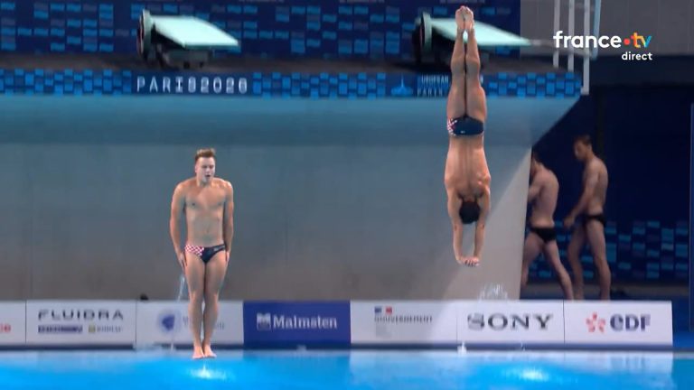 Plongeon