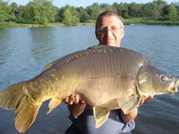 pêche carpe