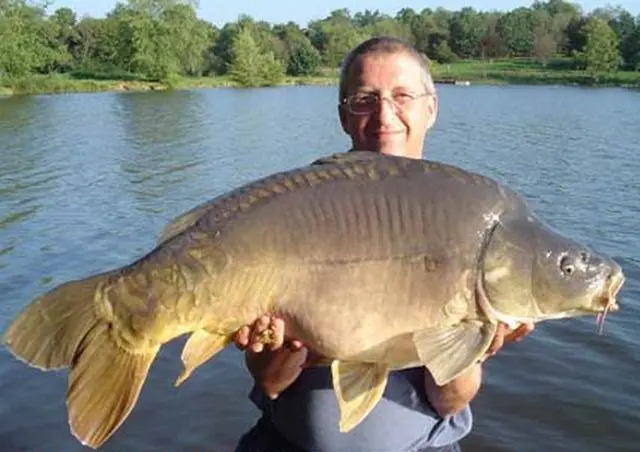 pêche carpe