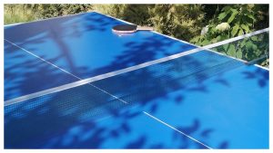 meilleur table de ping pong