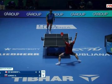 Tennis de table