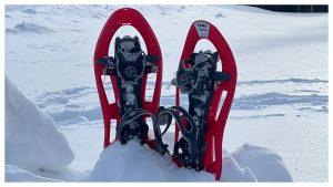 meilleures raquettes à neige