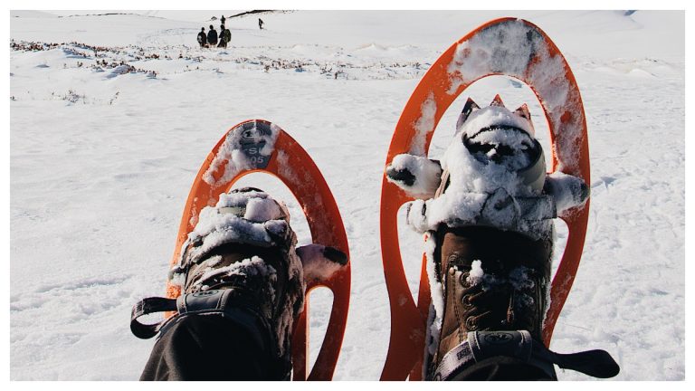 meilleures raquettes à neige