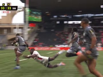 Lou Rugby