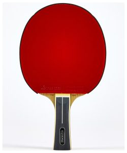 comment choisir une raquette de ping pong