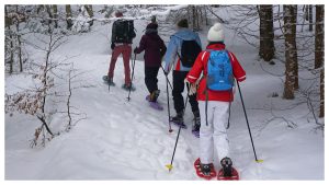 meilleures raquettes à neige